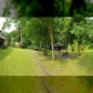 THE BIGGEST BUNGALOW IN DAMANSARA WITH 81,000 SQFT LAND AREA AND SEPARATE 3 STRUCTURE.. FREEHOLD !!! MUST VIEW TO BELIEVE