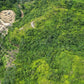 Below Market Price, Karak/Bentong Durian Farm. only less than RM 150k per acre.