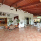 Freehold Bungalow with Huge Land Bukit Gasing, Petaling Jaya For Sale