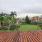 Freehold Bungalow with Huge Land Bukit Gasing, Petaling Jaya For Sale