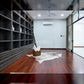 MODERN BUNGALOW GLENHILL SAUJANA - FULLY RENOVATED - NEAR ARA DAMANSARA